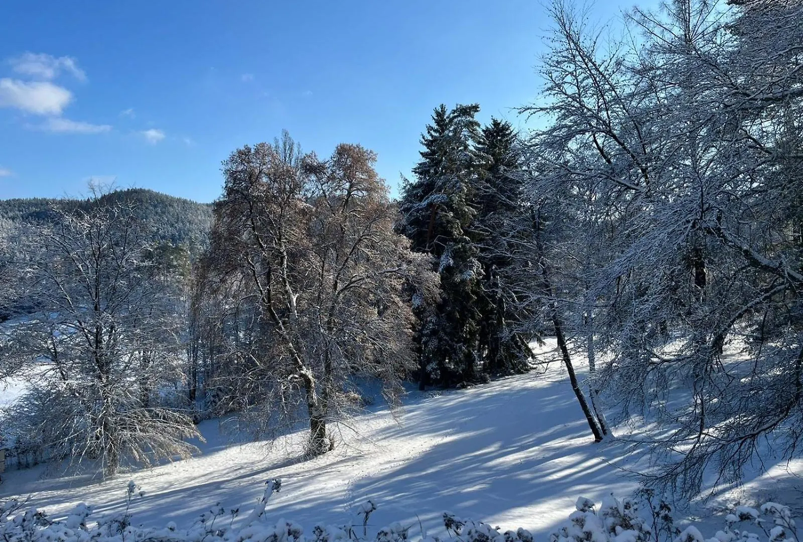 Pension U Golfu Cihelny Karlovy Vary 0*,  Csehország
